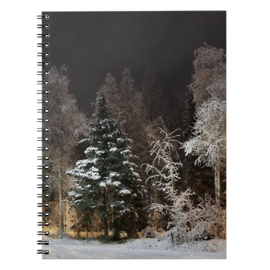 Alaska Winter Night Spiral Foto Notebook Notizblock (Vorderseite)