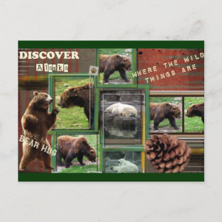 Alaska-wo die wilden Dinge sind Postkarte