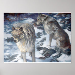 Alaska Wolf Pair im Winterposter Poster