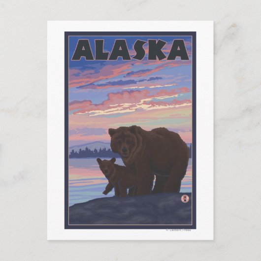 AlaskaBear und Cub Postkarte (Vorderseite)