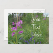 Alaskafireweed-Wildblume Postkarte (Vorne/Hinten)