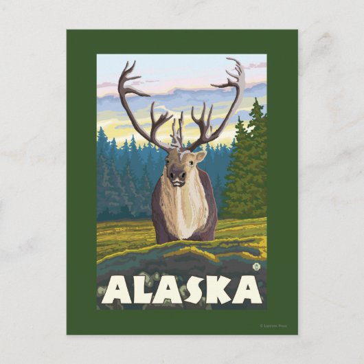 AlaskaKaribik im Wilden Vintage Postkarte (Vorderseite)