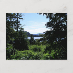 Alaskalandschaft Schöne Alaska-Fotografie Postkarte