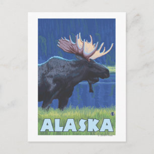 AlaskaMoonlight Moose Postkarte