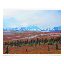 Alaskan Adventure-Denali - Landschaft #3 Fotodruck