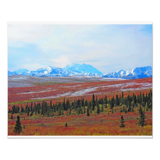 Alaskan Adventure-Denali - Landschaft #3 Fotodruck (Vorne)