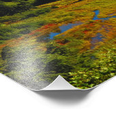 Alaskan Adventure - Landschaft #12 Fotodruck (Ecke)