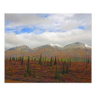 Alaskan Adventure - Landschaft #9 Fotodruck