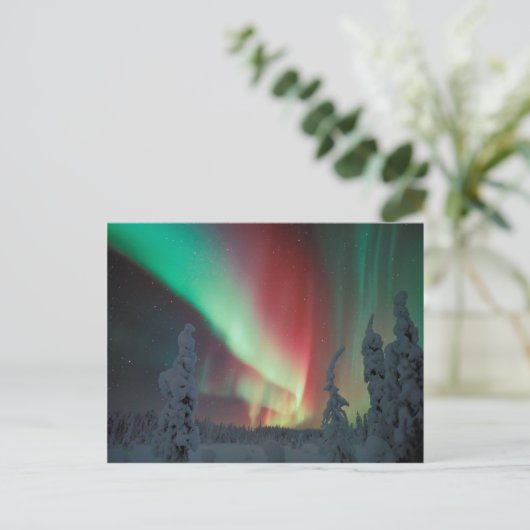 Alaskan Aurora Borealis Postkarte (Stehend Vorderseite)