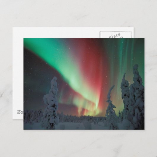 Alaskan Aurora Borealis Postkarte (Vorne/Hinten)
