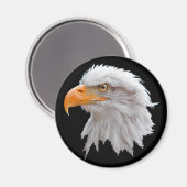 Alaskan Bald Eagle Magnet (Vorderseite/Rückseite)