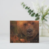 Alaskan Bear mit Cubs Postkarte (Stehend Vorderseite)