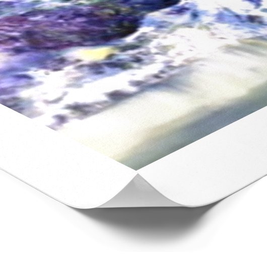 Alaskan Borealis Dance Poster (Ecke)