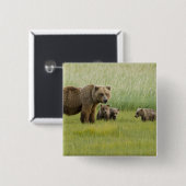 Alaskan Brown Bären Sow und drei Cubs, Ursus Button (Vorne & Hinten)