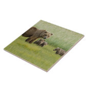 Alaskan Brown Bären Sow und drei Cubs, Ursus Fliese (Seite)
