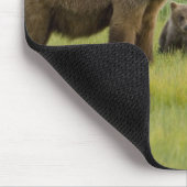Alaskan Brown Bären Sow und drei Cubs, Ursus Mousepad (Ecke)
