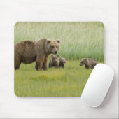 Alaskan Brown Bären Sow und drei Cubs, Ursus Mousepad (Mit Mouse)