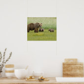 Alaskan Brown Bären Sow und drei Cubs, Ursus Poster (Küche)