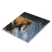 Alaskan Brown Bear Fangen von Lachs bei Brooks Fliese (Seite)