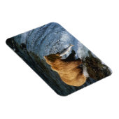 Alaskan Brown Bear Fangen von Lachs bei Brooks Magnet (Rechte Seite)