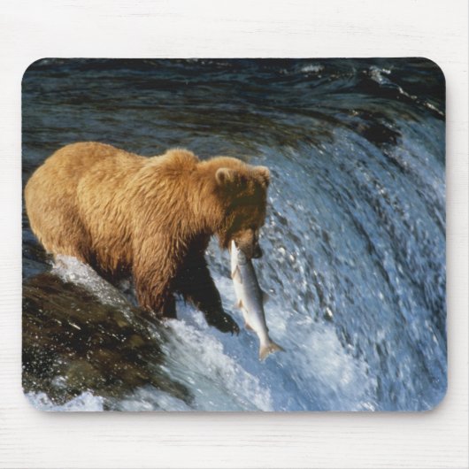 Alaskan Brown Bear Fangen von Lachs bei Brooks Mousepad (Vorne)