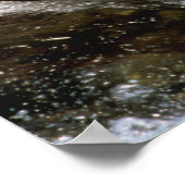 Alaskan Brown Bear Fangen von Lachs bei Brooks Poster (Ecke)