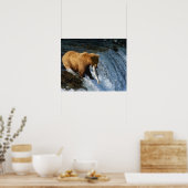 Alaskan Brown Bear Fangen von Lachs bei Brooks Poster (Küche)