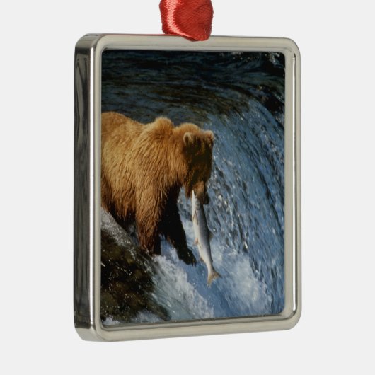Alaskan Brown Bear Fangen von Lachs bei Brooks Silbernes Ornament (Rechts)