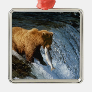 Alaskan Brown Bear Fangen von Lachs bei Brooks Silbernes Ornament