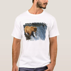 Alaskan Brown Bear Fangen von Lachs bei Brooks T-Shirt
