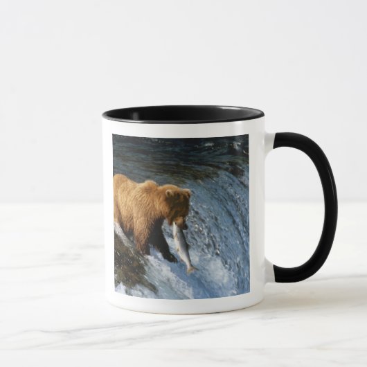 Alaskan Brown Bear Fangen von Lachs bei Brooks Tasse (Rechts)