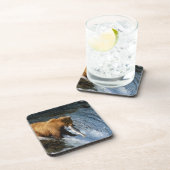 Alaskan Brown Bear Fangen von Lachs bei Brooks Untersetzer (Rechte Seite)