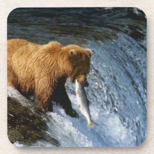 Alaskan Brown Bear Fangen von Lachs bei Brooks Untersetzer