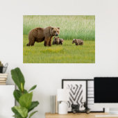 Alaskan Brown Bear mit Cubs auf einer Wiese Poster (Heimbüro)