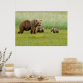 Alaskan Brown Bear mit Cubs auf einer Wiese Poster (Küche)