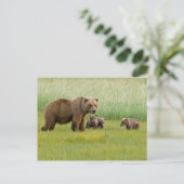 Alaskan Brown Bear mit Cubs auf einer Wiese Postkarte (Stehend Vorderseite)