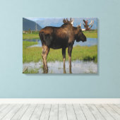 Alaskan Bull Moose im Landschaftlichen Marsh Foto Leinwanddruck (Insitu (Holzboden))