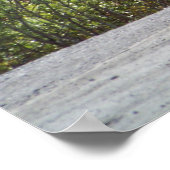 Alaskan Caribbean Poster Print (Ecke)