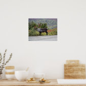 Alaskan Caribbean Poster Print (Küche)