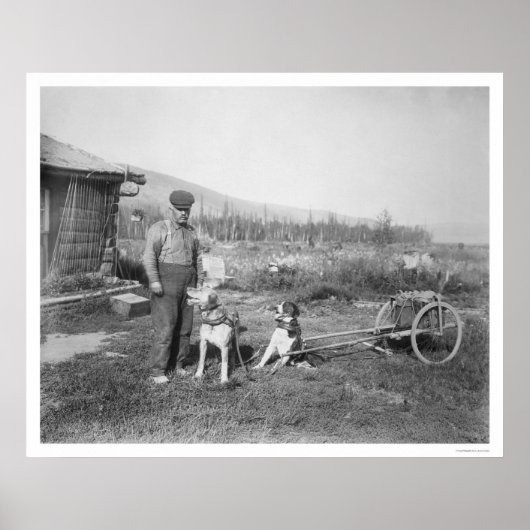 Alaskan Dog Cart Transport 1916 Poster (Vorne)