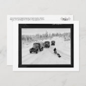 Alaskan Dogsled & Army Trucks Postkarte (Vorne/Hinten)