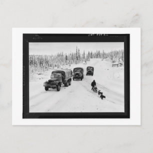 Alaskan Dogsled & Army Trucks Postkarte
