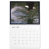 Alaskan Eagles Calendar Kalender (Mär 2027)