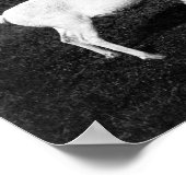 Alaskan Eskimo und die gefangenen Rentier Poster (Ecke)