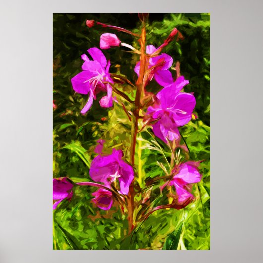 Alaskan Fireweed Pink Wildblume Abstrakt Poster (Vorne)