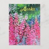 Alaskan Fireweed Postkarte (Vorderseite)