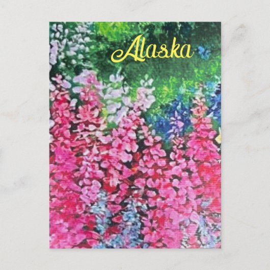Alaskan Fireweed Postkarte (Vorderseite)