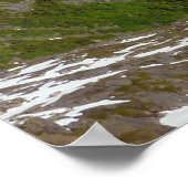 Alaskan Glacier Carved Valley Poster (Ecke)