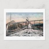 Alaskan Gold Mining Operation Sluice Box Postkarte (Vorderseite)