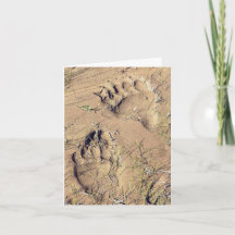 Alaskan Grizz-Spuren - 4" x 5.6" Notizkarte